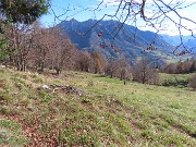 38 Scendiamo , attraversiamo tratto di faggeta per agganciare il sentiero per Baita Cascinetto-Amici del Menna